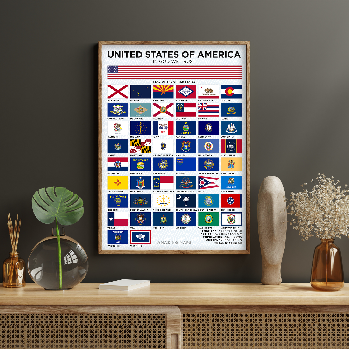 United States Flag Poster
